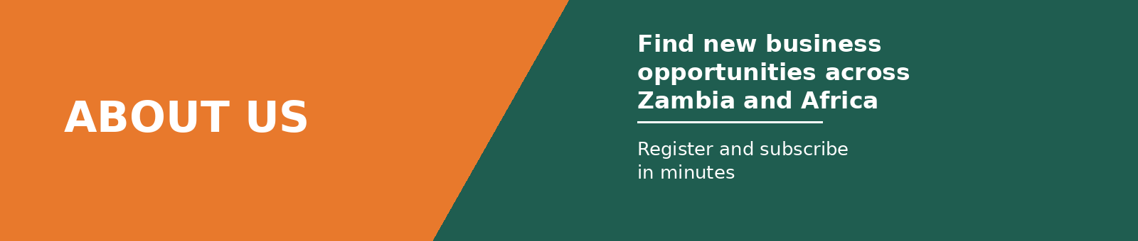 Tender Posters - Tenders Across Zambia and Africa